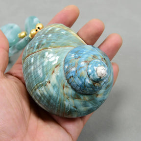 Large Turban Shell Necklace