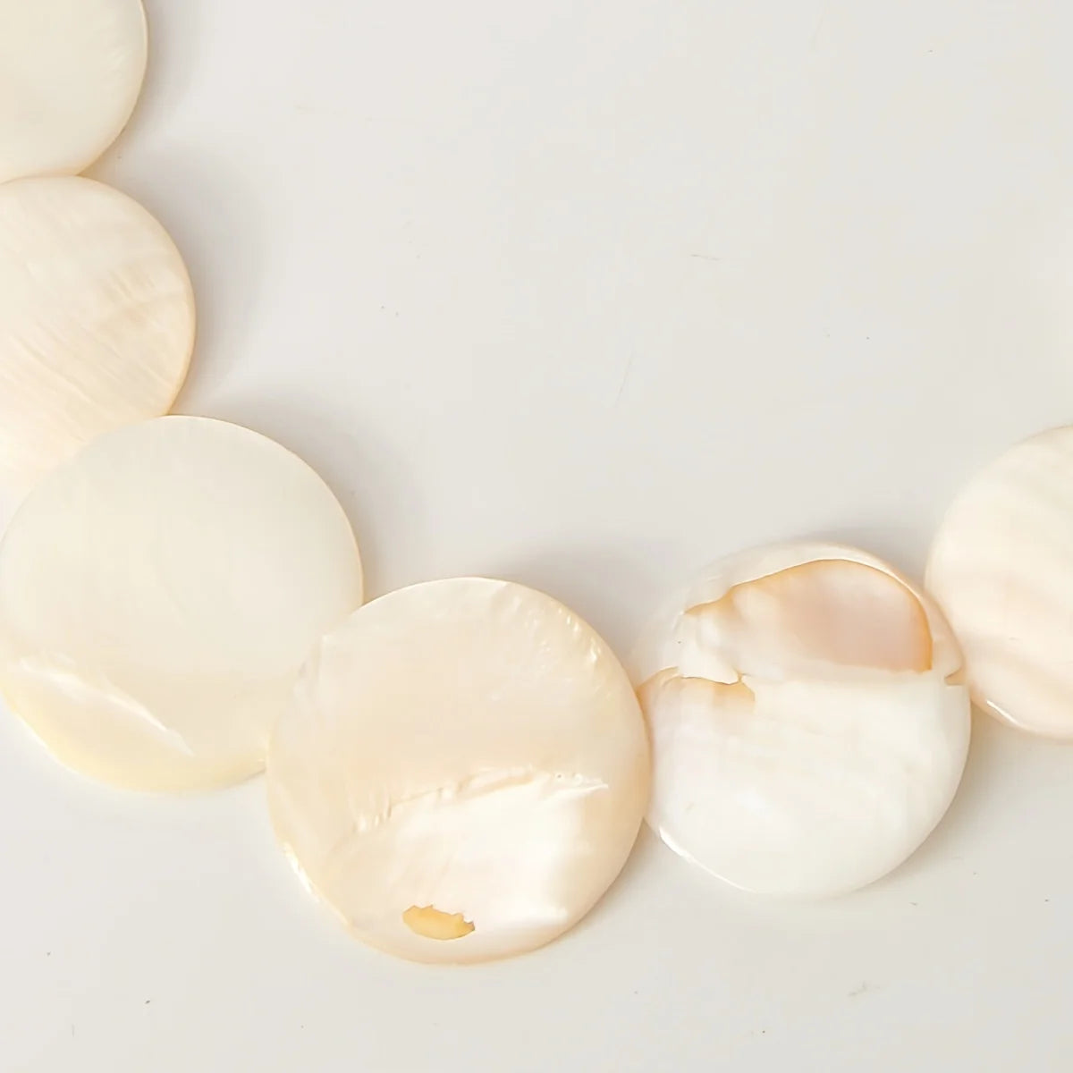 Natural Shell Necklace and Earrings Set