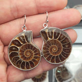 Ammonite Earrings