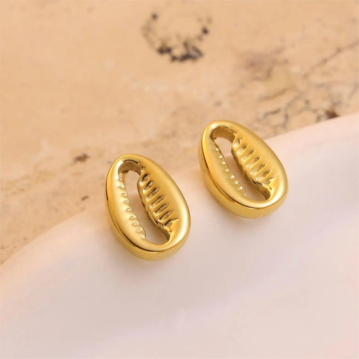 Cowrie Shell Stud Earrings