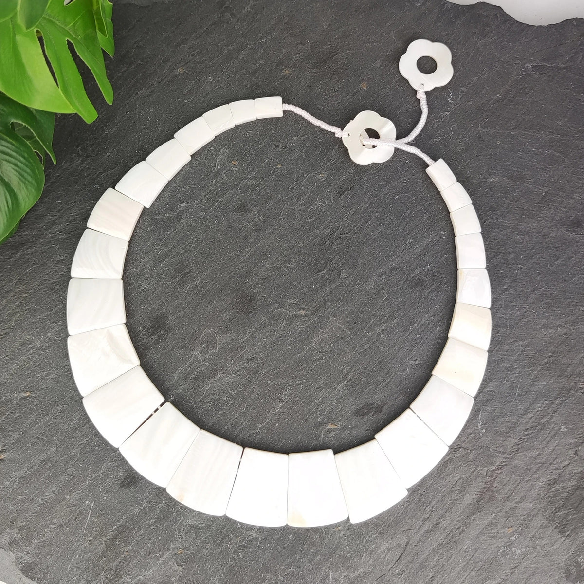 Thick Shell Choker Necklace