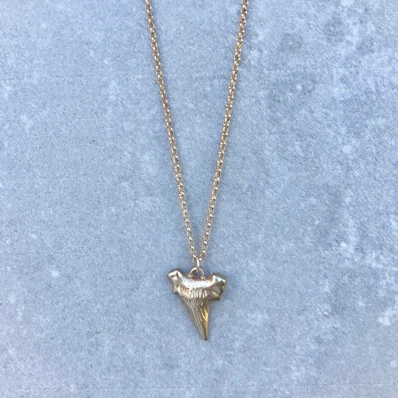 Golden Shark Tooth Pendant