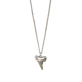 Shark Tooth Pendant Gold